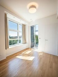 Palm Oasis (D15), Apartment #496905461